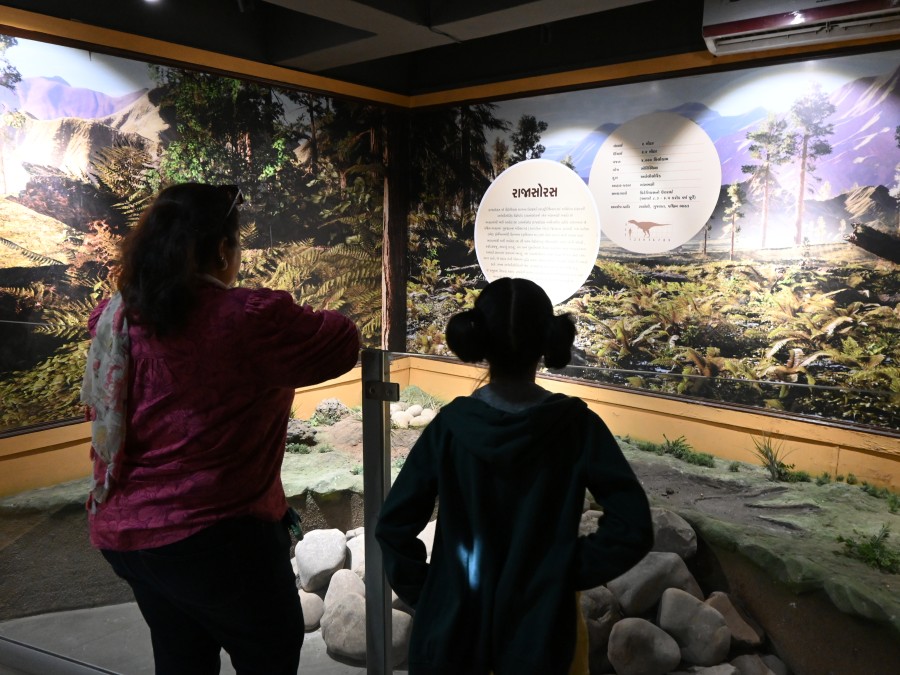 The Kid Who Travelled at Balasinor Fossil Museum